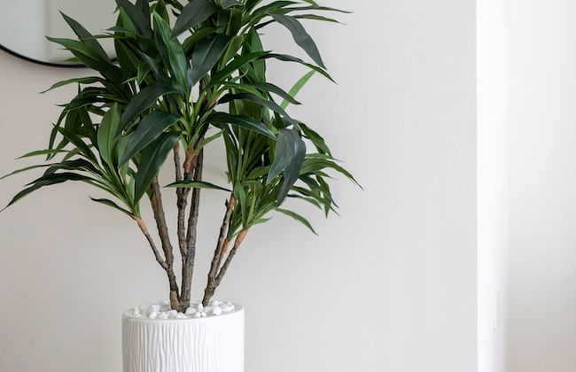 Stylish 1BR at Palace Residences - Photo 5