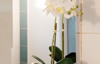 Matoula's House - Foto 34