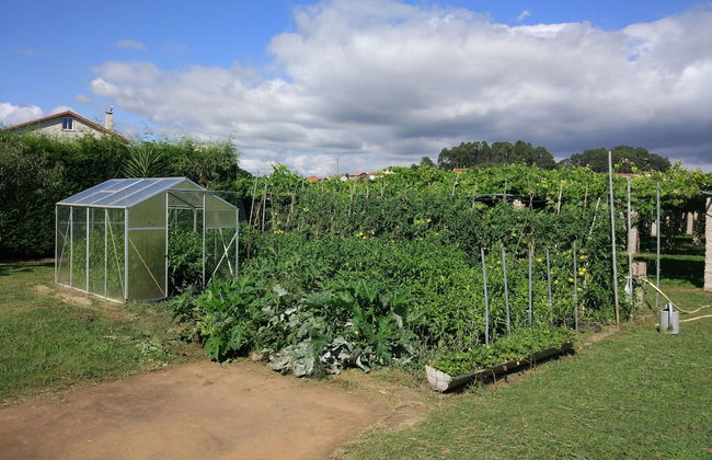 Enoturismo y Bodega Lagar de Costa - Foto 33