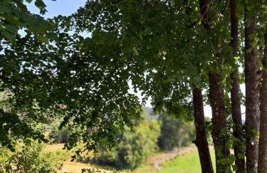 Apartman Barbara - Foto 28