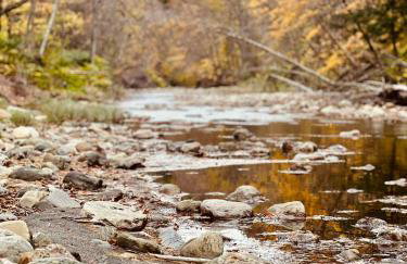 Broad Brook Cabin between Woodstock & Killington - Photo 3