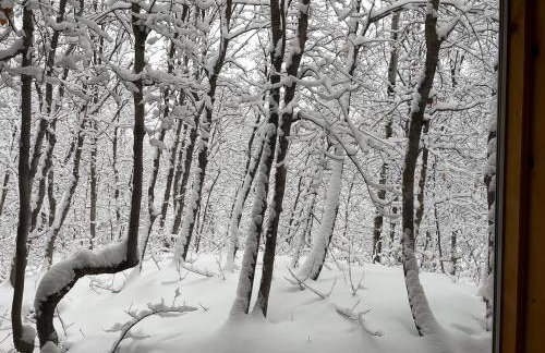 Rustic Sundance cabin sleeps 13 hottub firepits - Foto 59