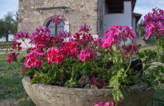 La Collina Degli Ulivi - Foto 68