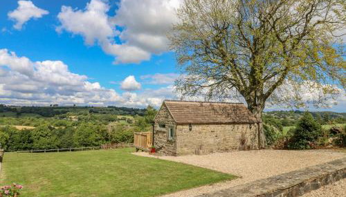 Cuckoo Nest - Foto 2