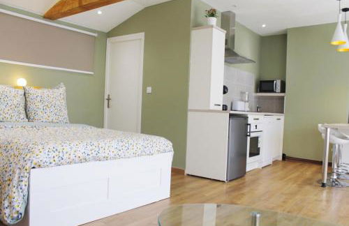 Saint Etienne : appartement Châteaucreux 40 M2 - Foto 5