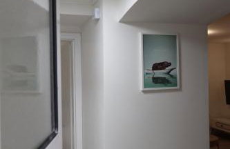 Split Avocado Dream - Foto 20