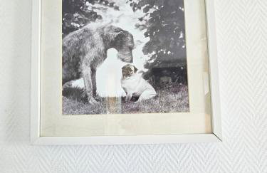 Ferienwohnungen Dorfliebe Dörnberg - Photo 61