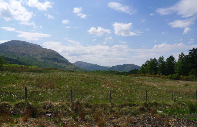 Tower Ridge Apartments - Foto 39