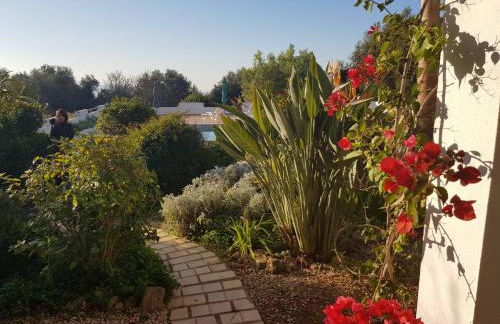 Feliz Apartments - Foto 51