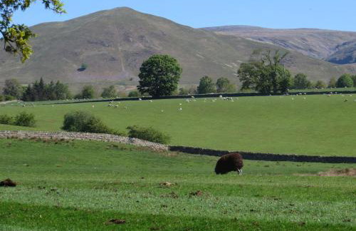 Shepherds View - Foto 19