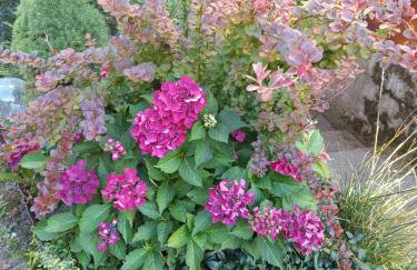 Beskidzki Zakątek - Foto 20