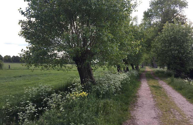 Cozy Holiday Home in Nistelrode With Garden - Photo 76