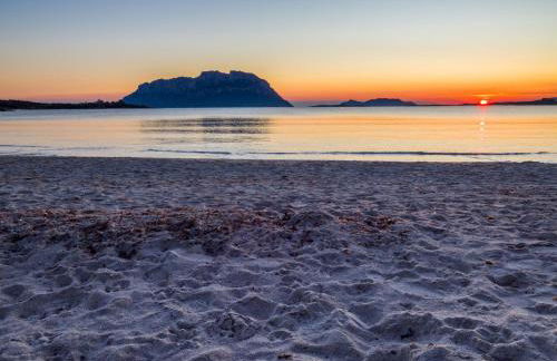 Appartamento delle Rose - Foto 22