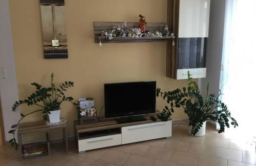 Ferienwohnungen Schwarzkopf - Foto 24