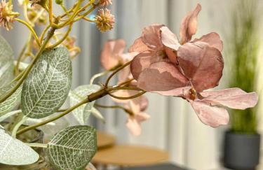 Canva Living - Foto 6