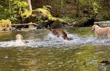 Plätzchen am Krebsberg für alle Fä(e)lle - Photo 6