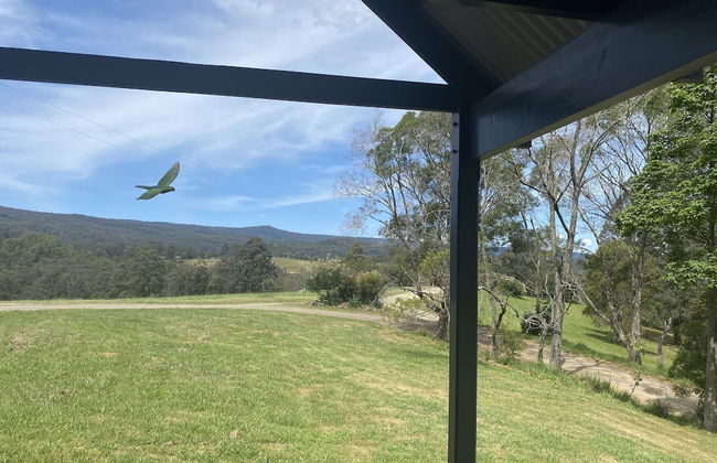 Bluegums Cabins Barrington Tops - Photo 59