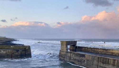 Red Herring - Foto 3, Other