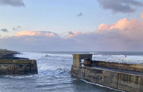 Red Herring - Foto 3