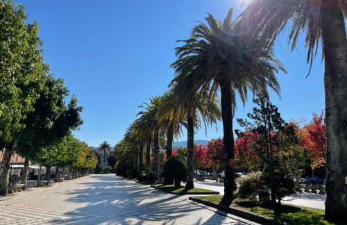 Apartamento Confot / SBHome - Foto 25