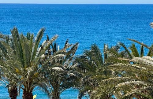 Apartamento LH Beach frente al mar - Foto 22