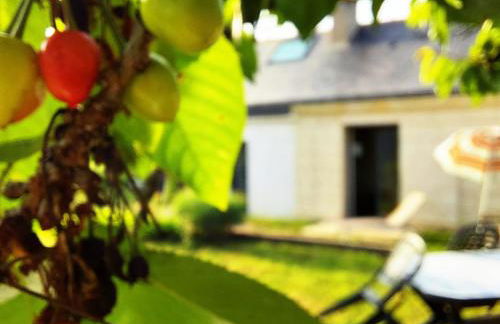 Charmante maison au calme avec jardin - Photo 9