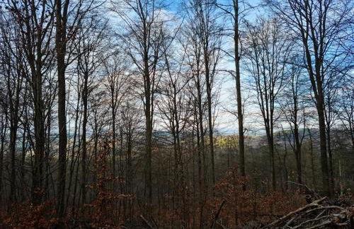 Ferienhaus Johann - Foto 10