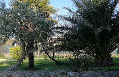 casa Dani - accogliente appartamento - Foto 12