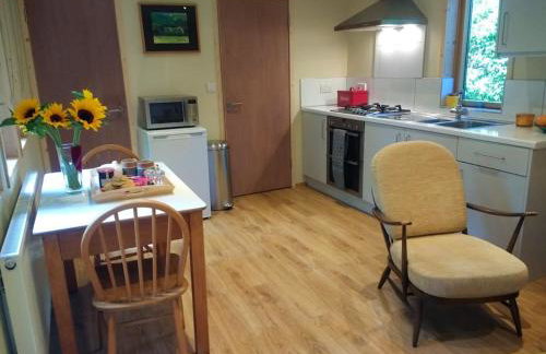 Best of both worlds, trees & town - Foto 3