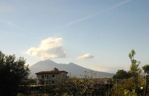 Casa Vacanze Villa Fiorenza - Photo 13