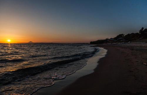 White Villas - Foto 34