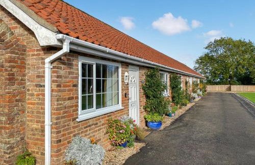 Ivy - Uk47373 - Foto 1