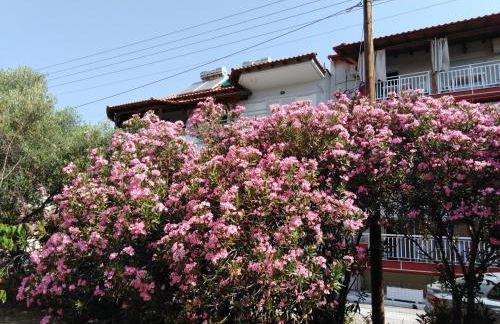 Levanta Apartment - Foto 47