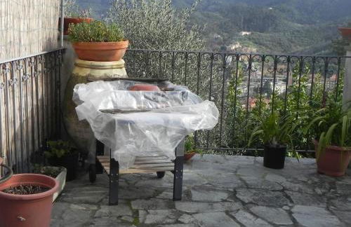 azienda agricola zulin casa elena - Foto 26