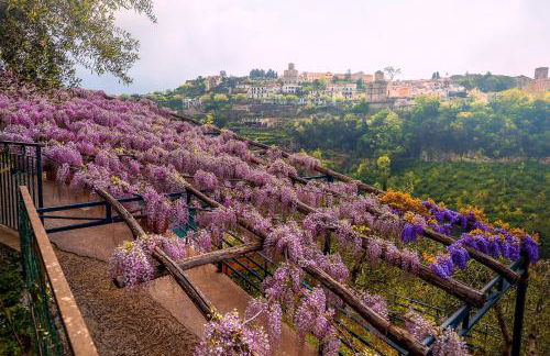 Villa San Lorenzo - Photo 44