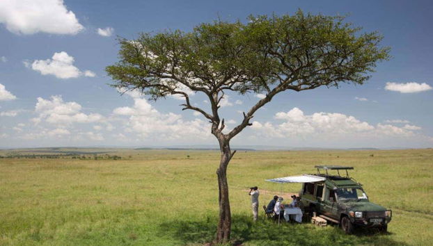 Safari dans la réserve de Masai Mara