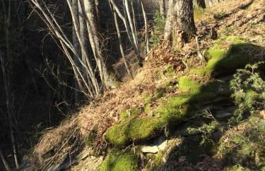 Casa con vista - Foto 30