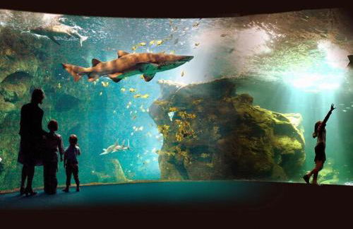 Luxury Villa in France with Pool - Foto 11