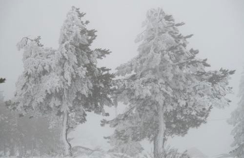 Quinta Damigo - Foto 27