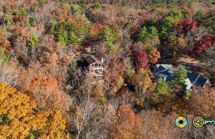324 Brian Drive: The Swirling Bird - Foto 6