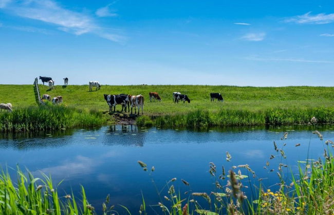 Sunny Apartment Directly on the Heegermeer - Foto 39