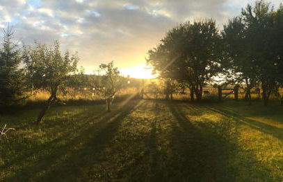 Wohnpension Litzkendorf - Foto 26