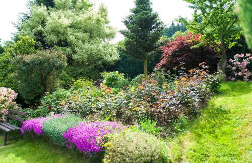 Agroturystyka Wzgórze Magnolii - Foto 28