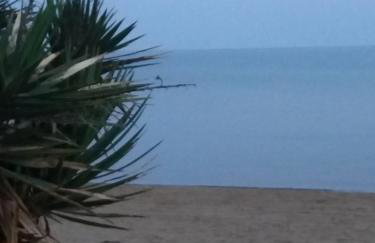 Peter's Country House - Foto 39