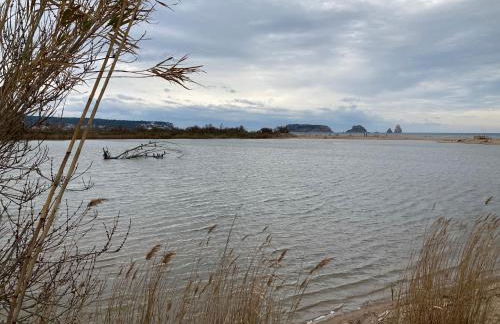 Mas Pinell 3 -Viu bé - Foto 43