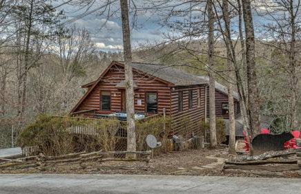 Fighting Creek Cabin - Foto 1