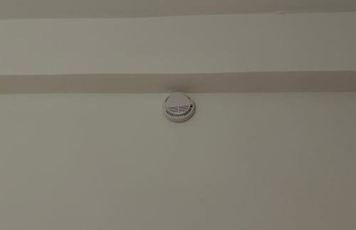 Angela House - Photo 53