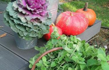 Parkowa Garden - Foto 48