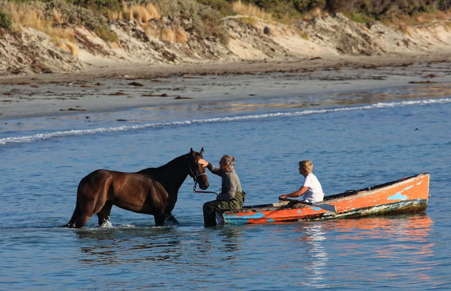 Botanic City Apartments - Foto 78