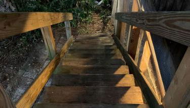 Modern Treehouse Rental with Pool for Glamping in Florida - Foto 2